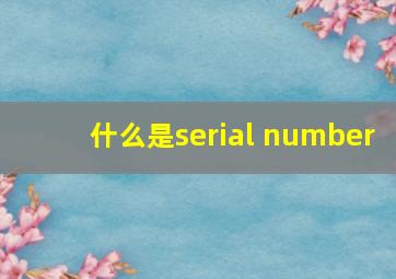 什么是serial number